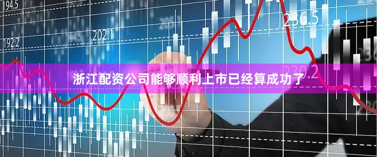 浙江配资公司能够顺利上市已经算成功了