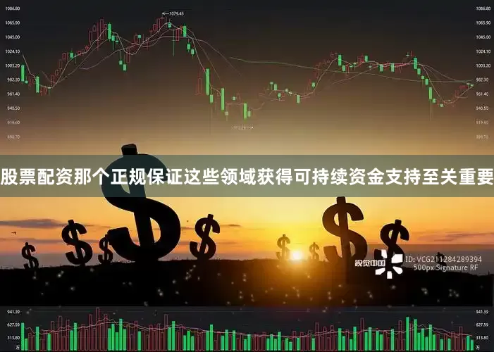 股票配资那个正规保证这些领域获得可持续资金支持至关重要