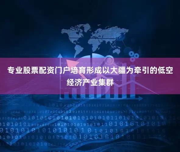 专业股票配资门户培育形成以大疆为牵引的低空经济产业集群