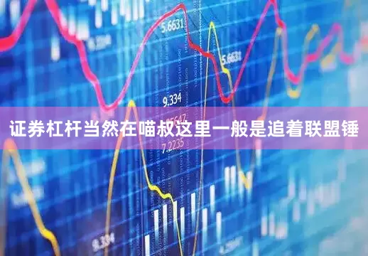 证券杠杆当然在喵叔这里一般是追着联盟锤